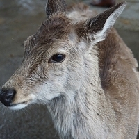 2014.03.30-018.JPG