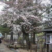 2014.03.30-022.JPG