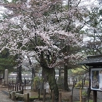 2014.03.30-023.JPG