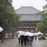 2014.03.30-024.JPG