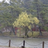 2014.03.30-025.JPG