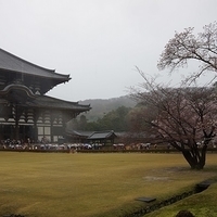 2014.03.30-033.JPG