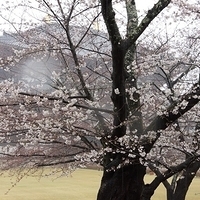 2014.03.30-037.JPG
