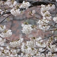 2014.03.30-039.JPG