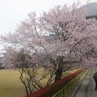 2014.03.30-040.JPG