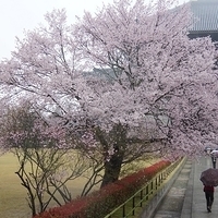 2014.03.30-041.JPG