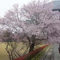 2014.03.30-042.JPG