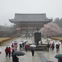 2014.03.30-052.JPG