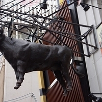 2014.03.30-115.JPG