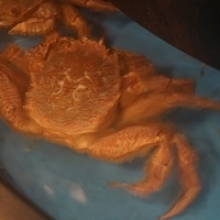 2014.03.30-127.JPG