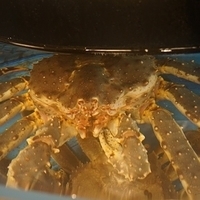 2014.03.30-128.JPG