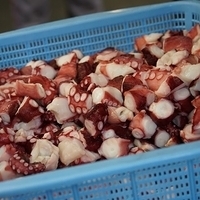 2014.03.30-139.JPG