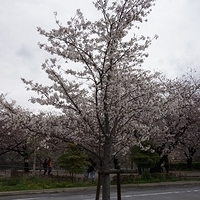 2014.03.30-144.JPG