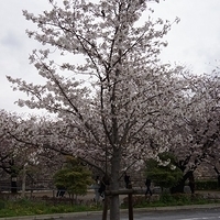 2014.03.30-145.JPG