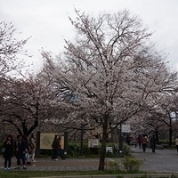 2014.03.30-146.JPG