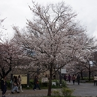 2014.03.30-147.JPG