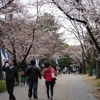 2014.03.30-152.JPG