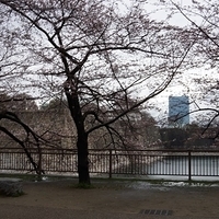 2014.03.30-153.JPG