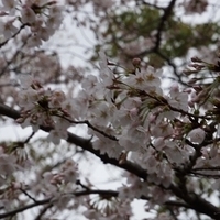 2014.03.30-154.JPG