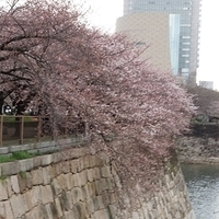 2014.03.30-155.JPG