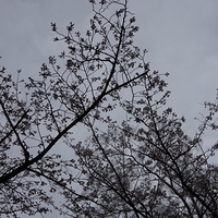 2014.03.30-157.JPG