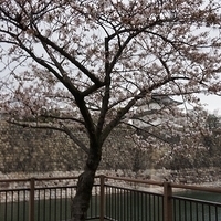 2014.03.30-158.JPG
