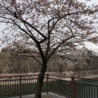 2014.03.30-159.JPG
