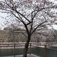 2014.03.30-160.JPG