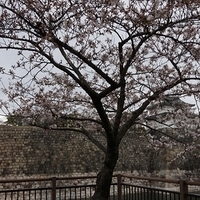 2014.03.30-161.JPG