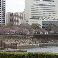 2014.03.30-168.JPG