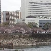 2014.03.30-169.JPG