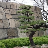 2014.03.30-171.JPG