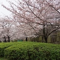 2014.03.30-184.JPG