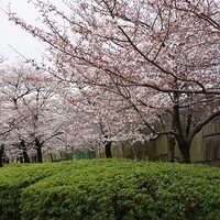 2014.03.30-185.JPG