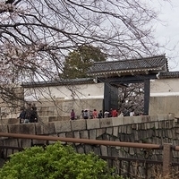 2014.03.30-193.JPG