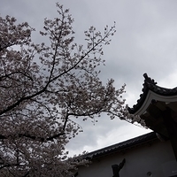 2014.03.30-194.JPG