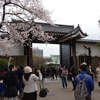 2014.03.30-195.JPG