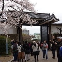 2014.03.30-196.JPG