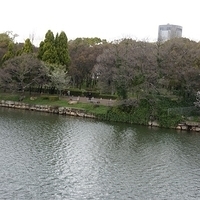 2014.03.30-230.JPG