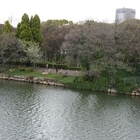 2014.03.30-231.JPG