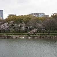 2014.03.30-232.JPG