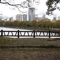 2014.03.30-238.JPG