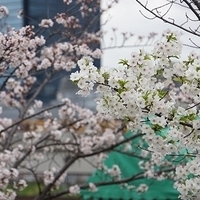 2014.03.30-251.JPG