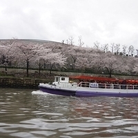 2014.03.30-253.JPG