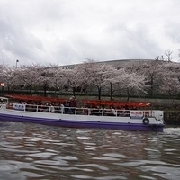 2014.03.30-254.JPG