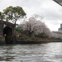 2014.03.30-255.JPG