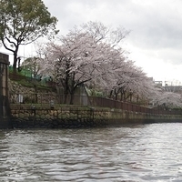 2014.03.30-256.JPG