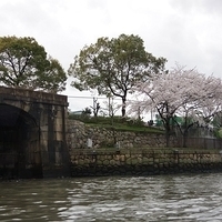 2014.03.30-258.JPG