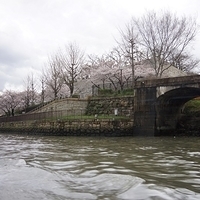 2014.03.30-259.JPG