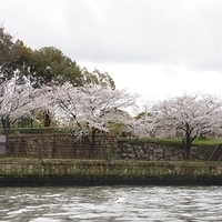 2014.03.30-261.JPG